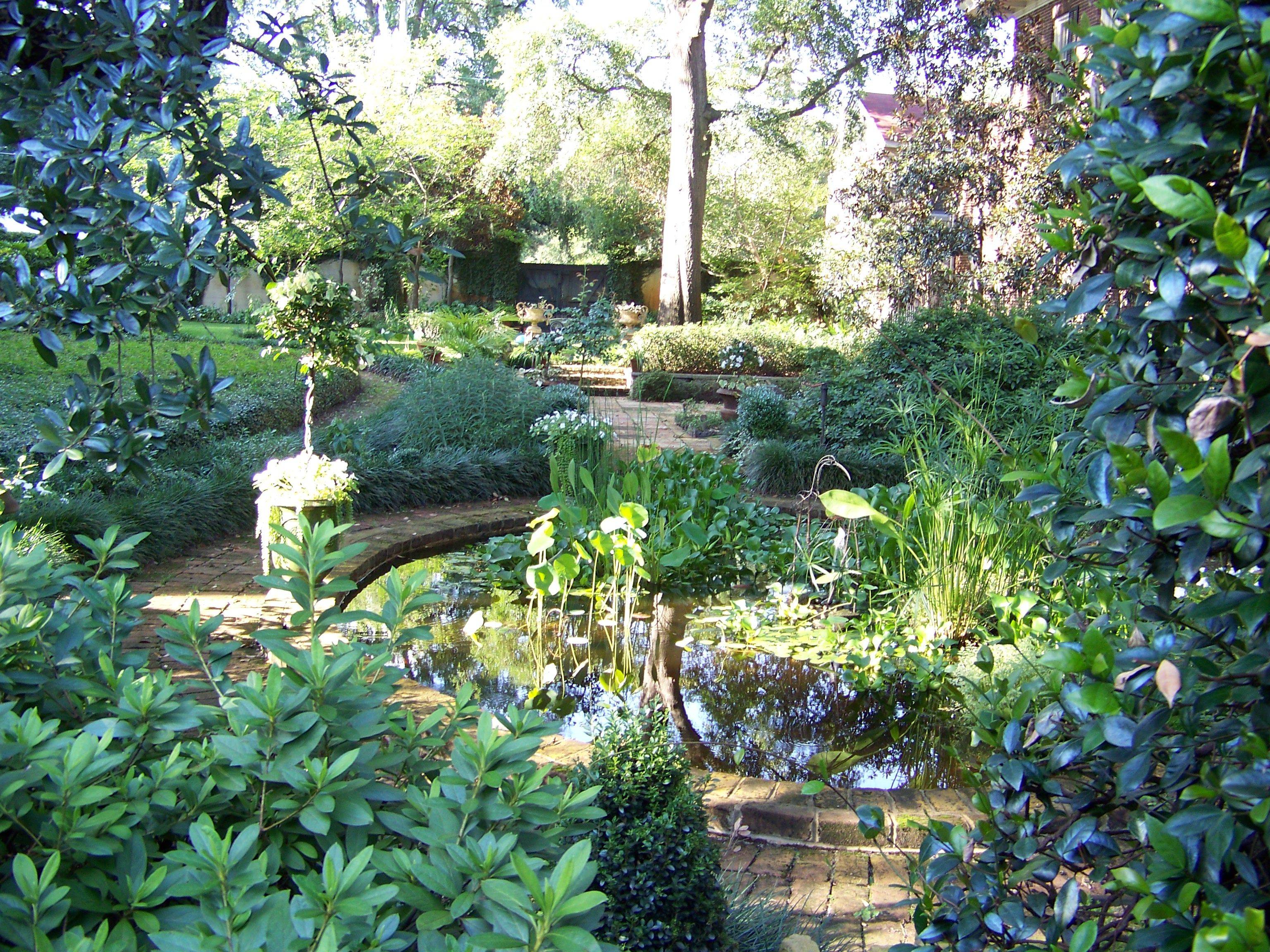 Revisited Savannah Gardens