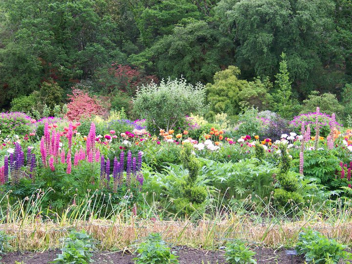 Irish Cottage Gardens Cottage Garden