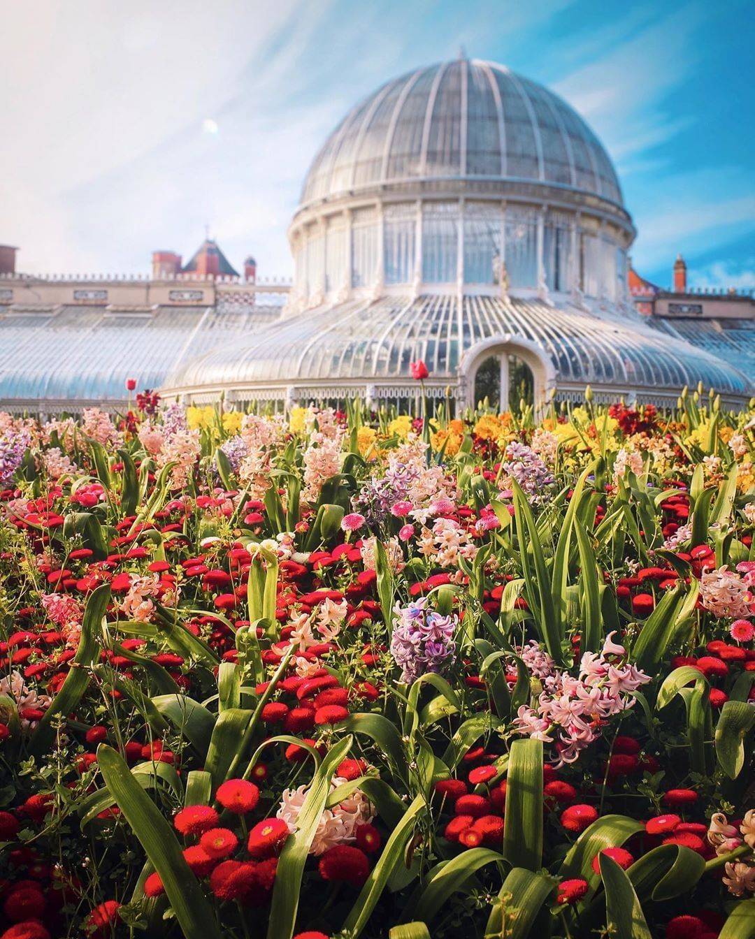 Belfast Botanic Gardens Belfast Murals