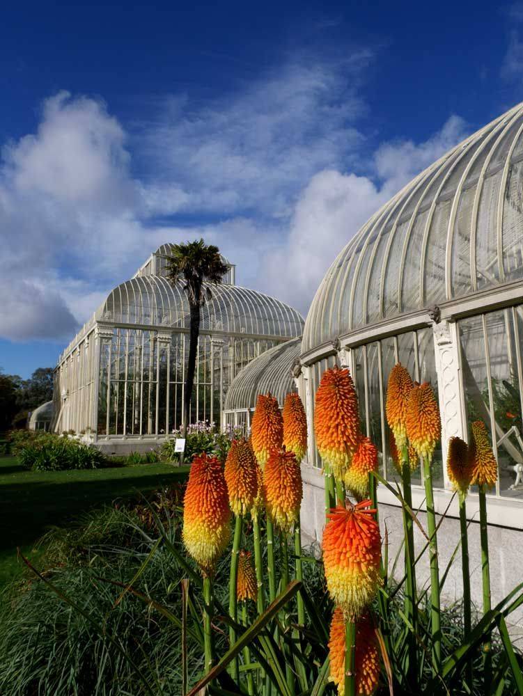 National Botanic Gardens County Dublin