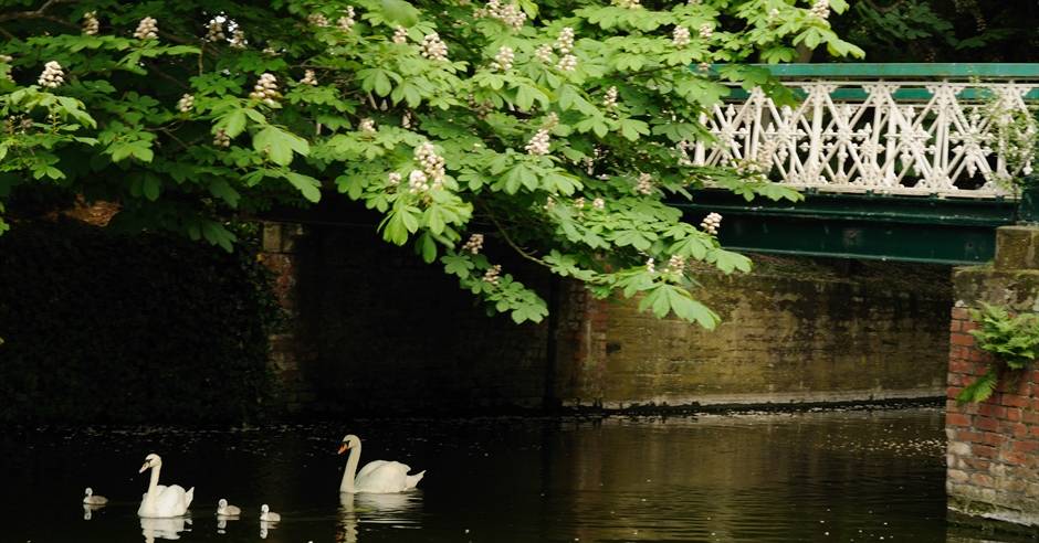 Southport Picture