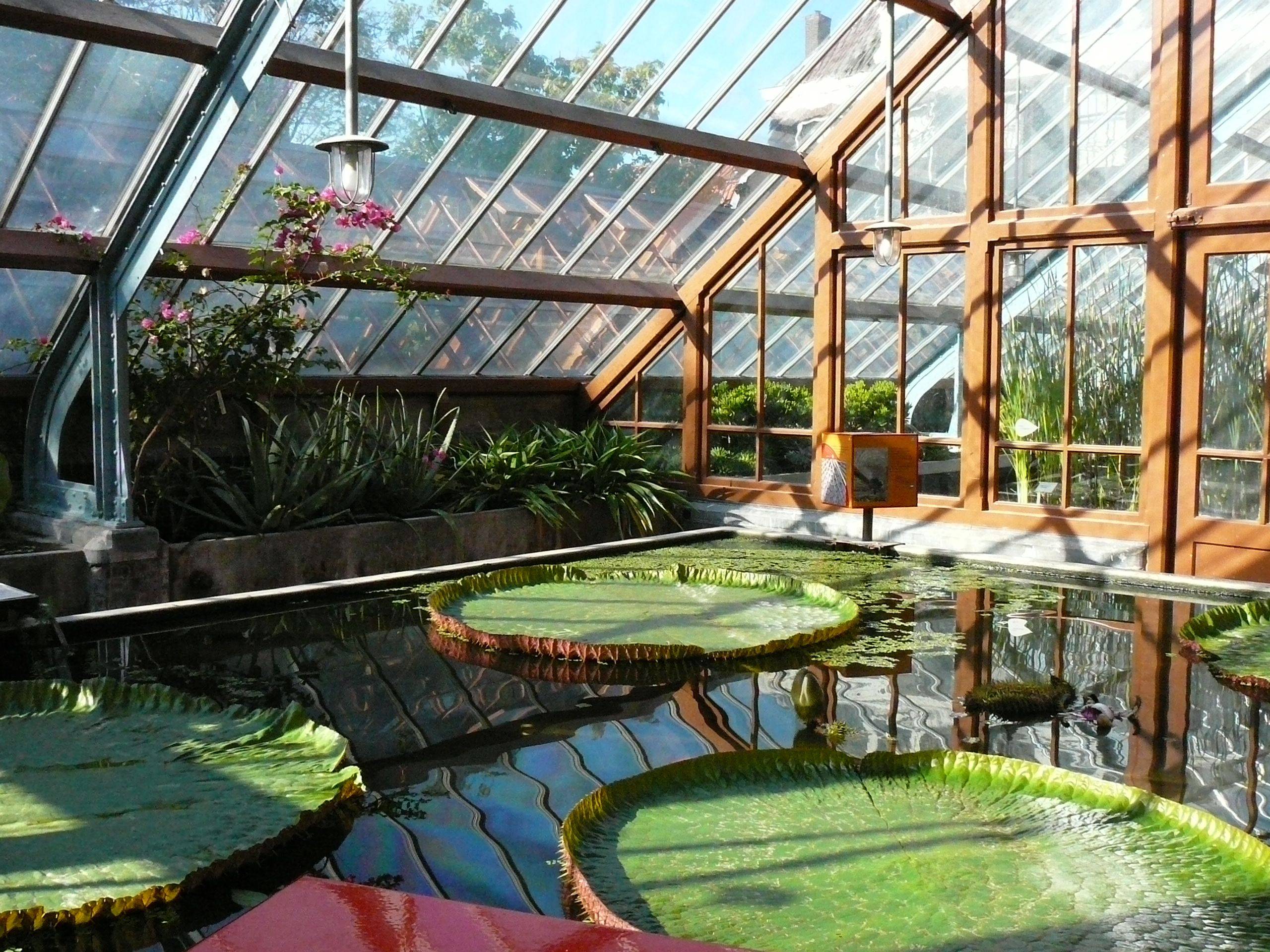 Hobart Botanical Garden Australia