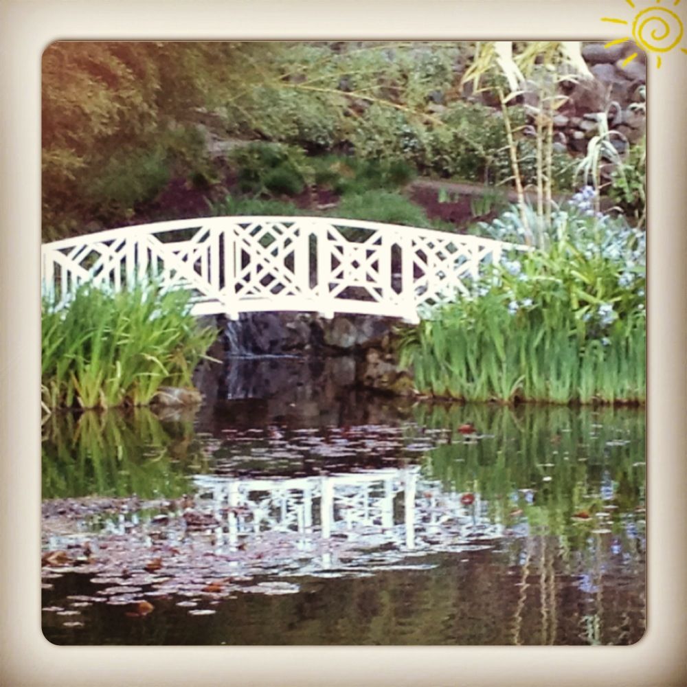 South Coast Botanic Garden Wedding Venue