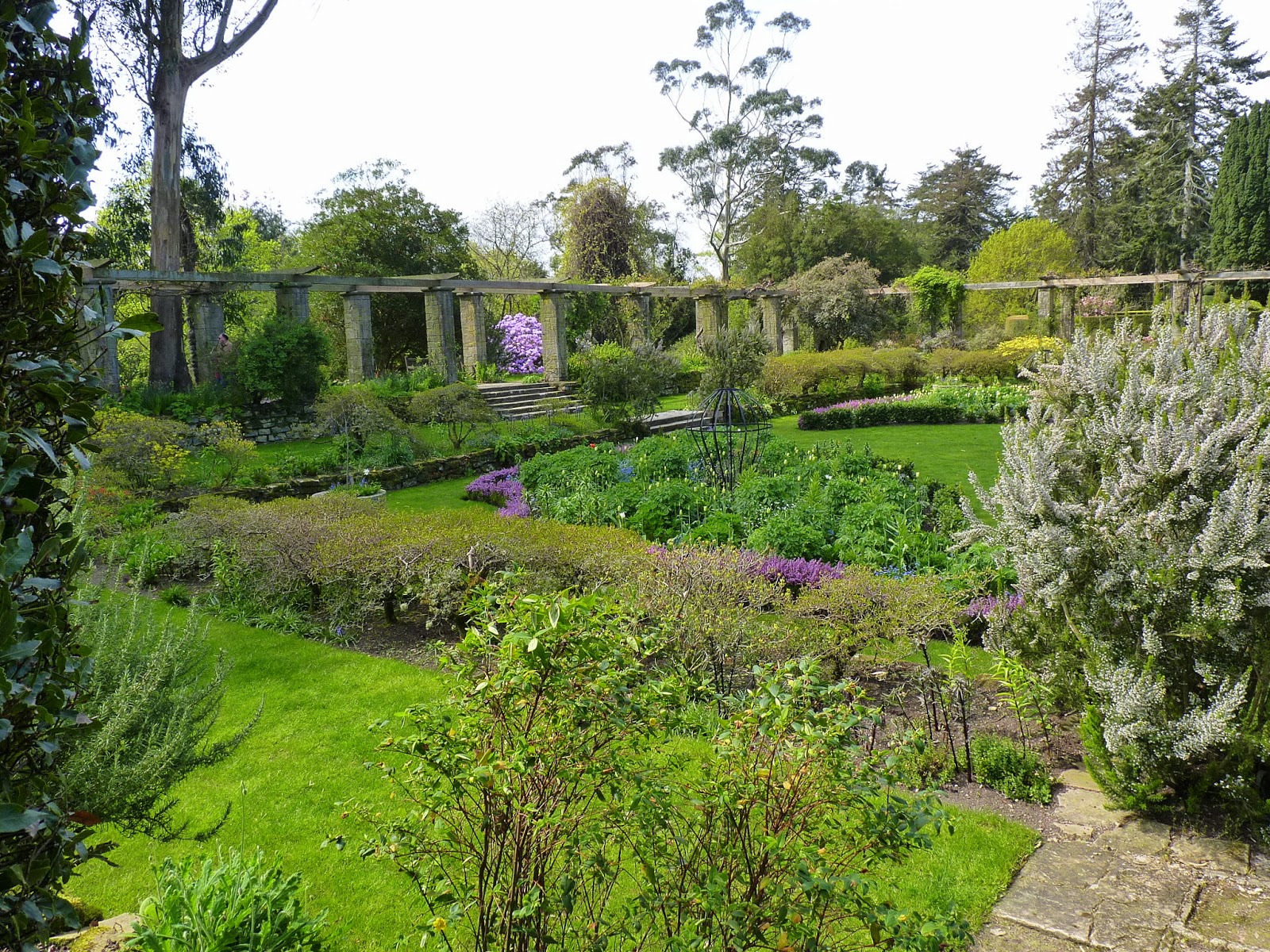 Birding For Pleasure Mount Stewart Gardens In April