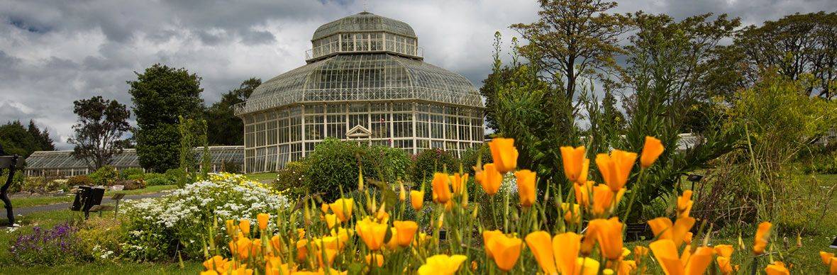 Botanic Gardens Things