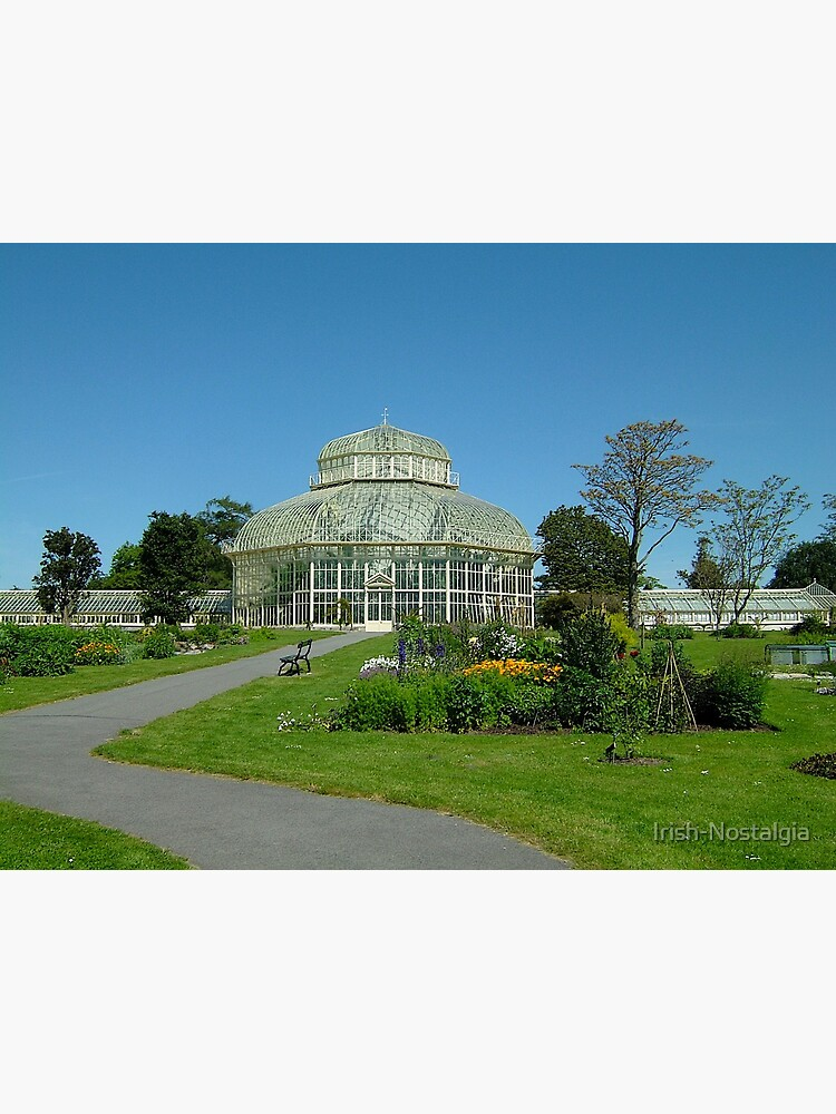 These Seven Beautiful Dublin