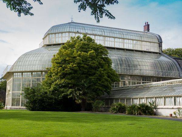 These Seven Beautiful Dublin