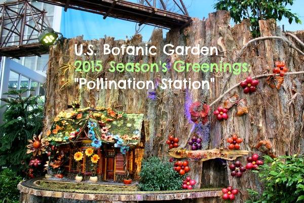 Summer Flower Show Phipps