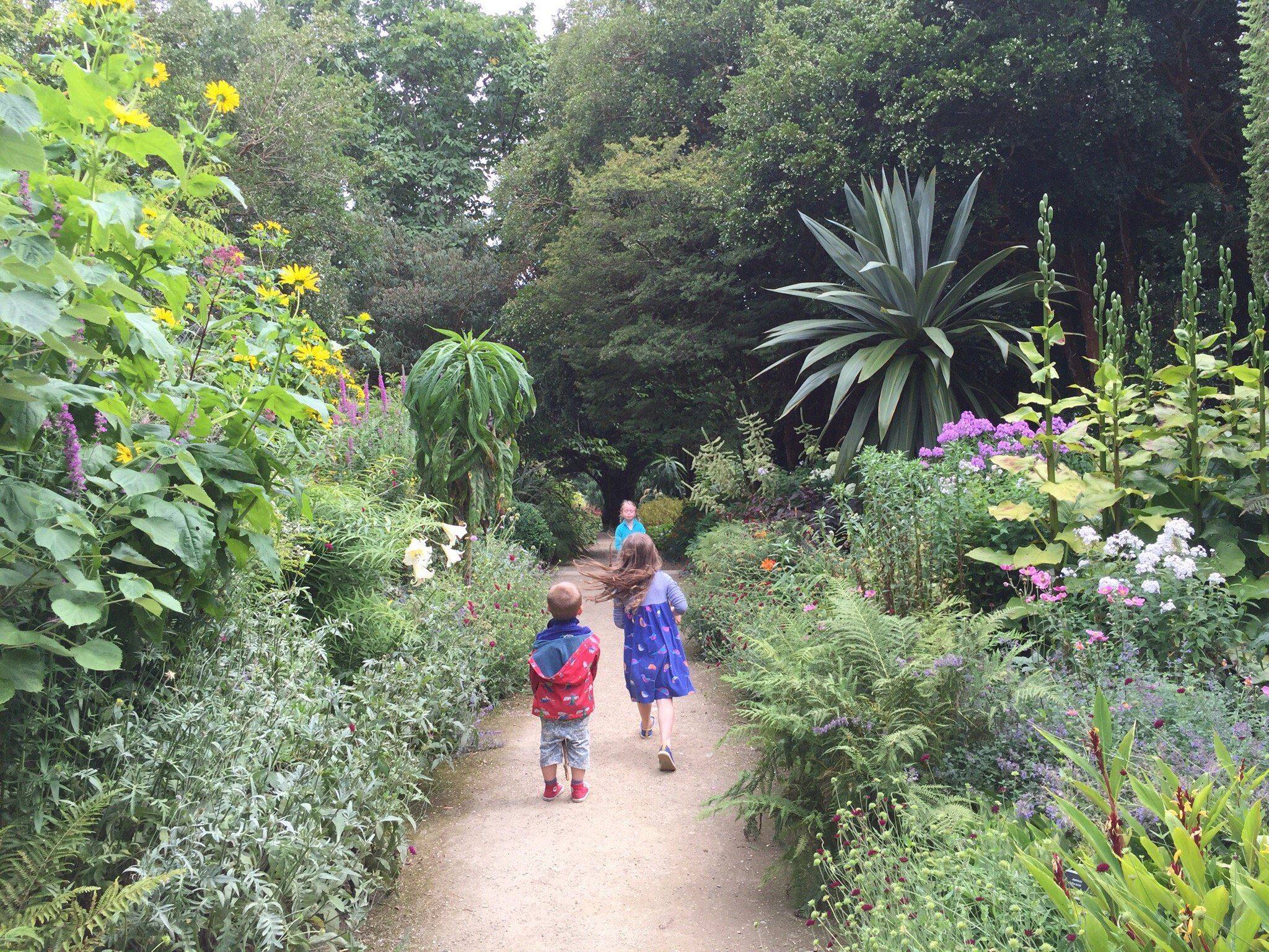 Explore Kilmacurragh Botanic Gardens