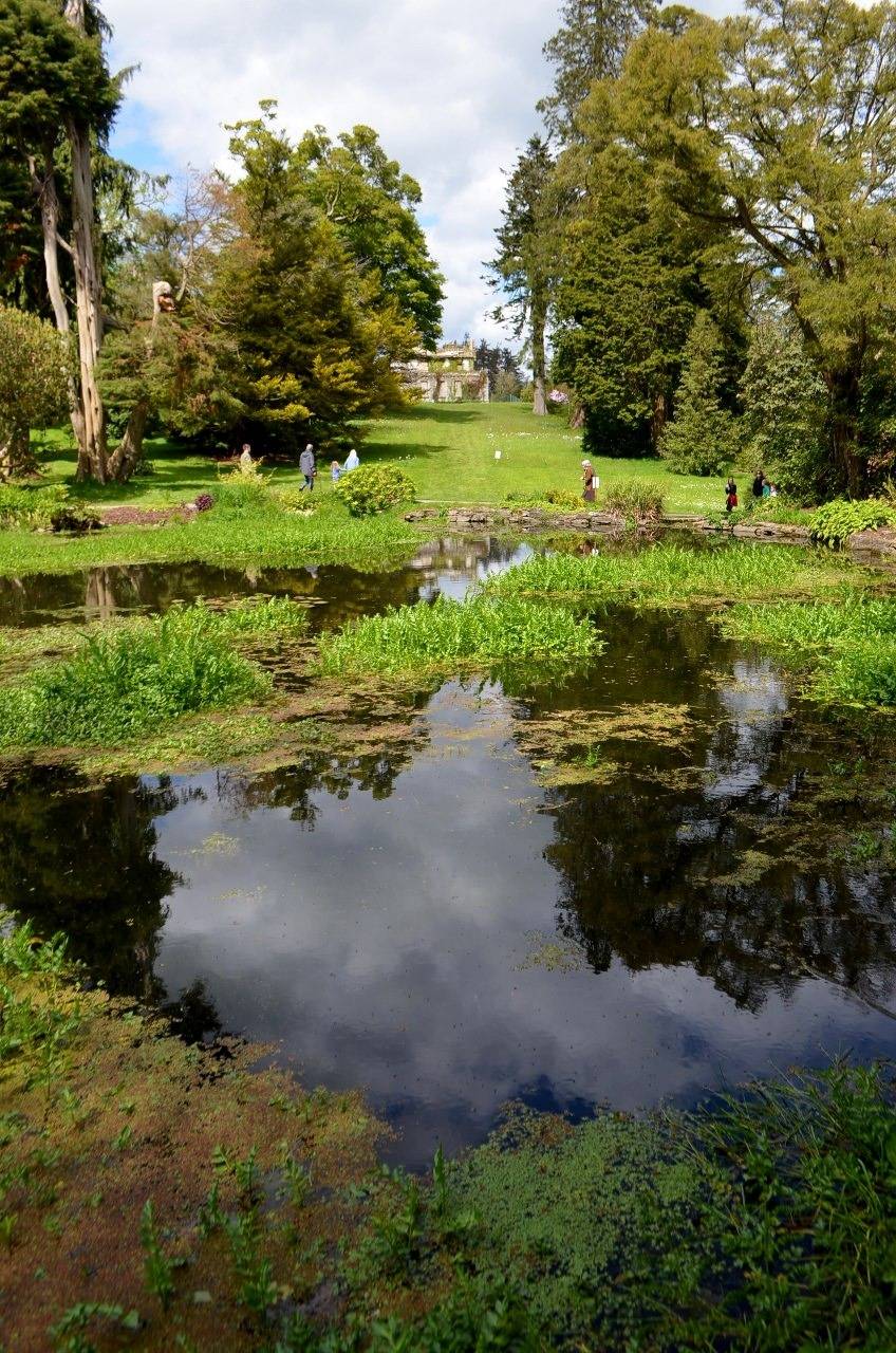 Explore Kilmacurragh Botanic Gardens