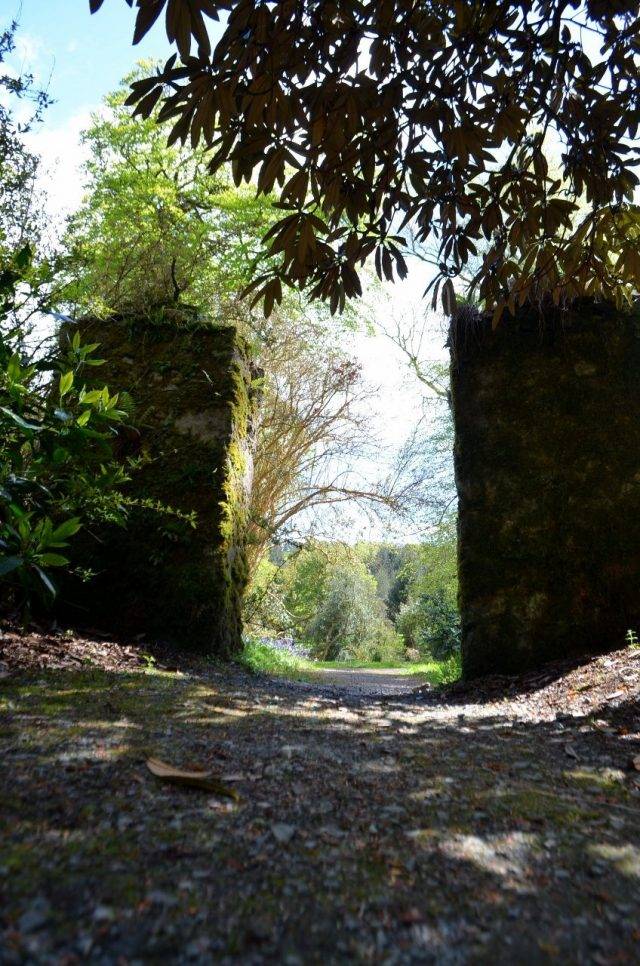 National Botanic Gardens