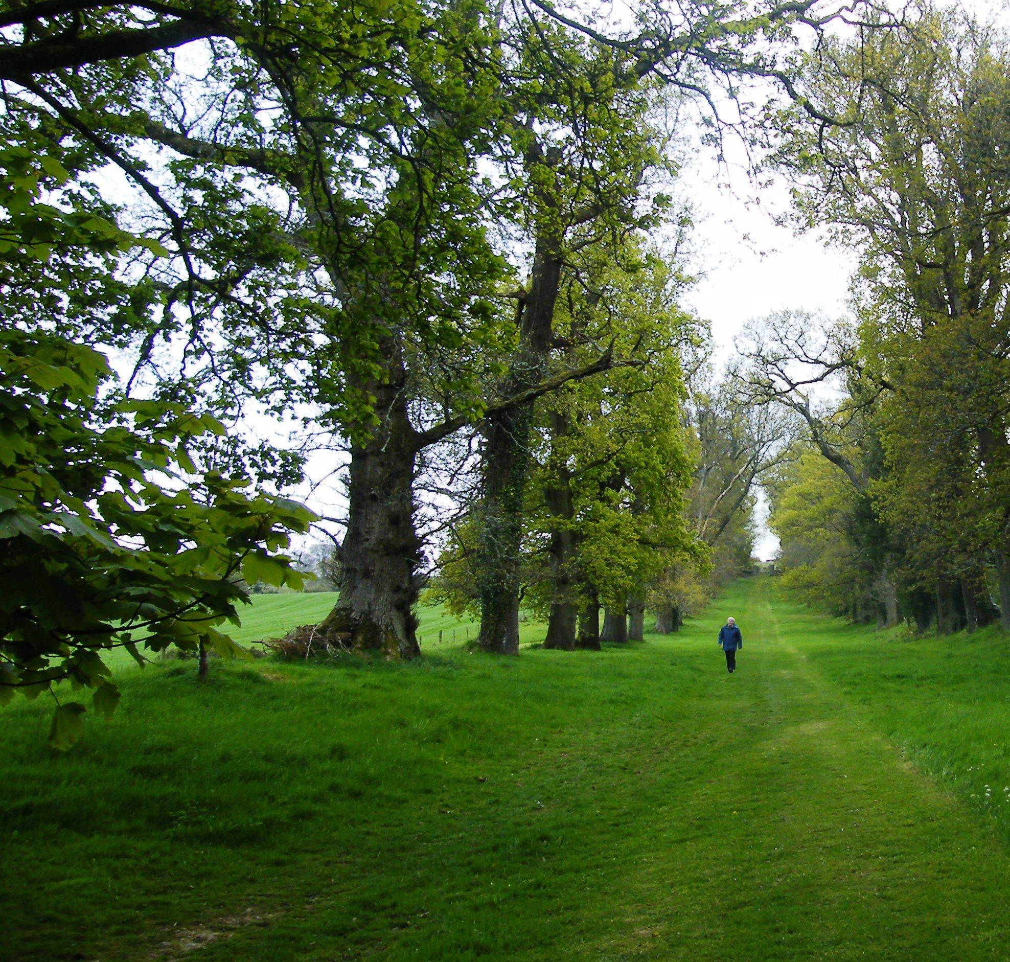 National Botanic Gardens