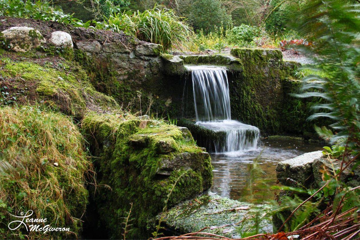 Kilmacurragh Botanic Gardens
