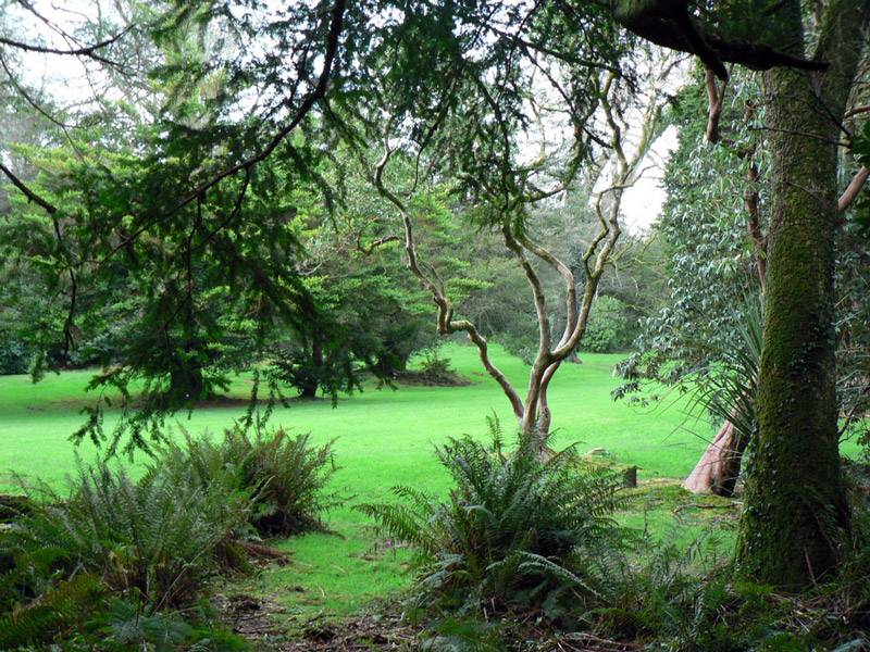 Kilmacurragh Gardens