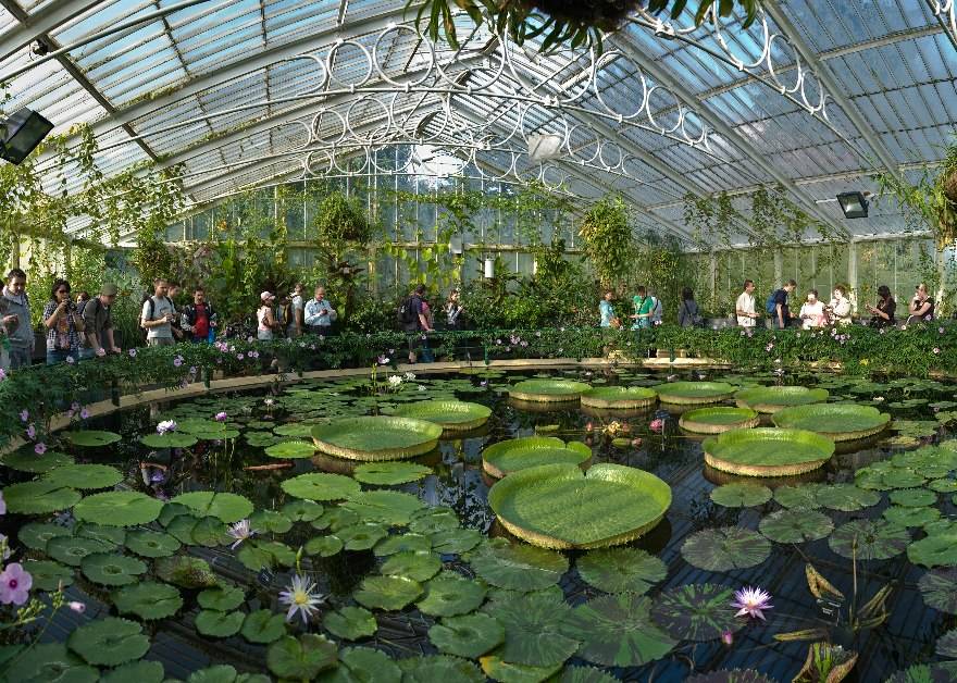 Bristol Botanic Garden