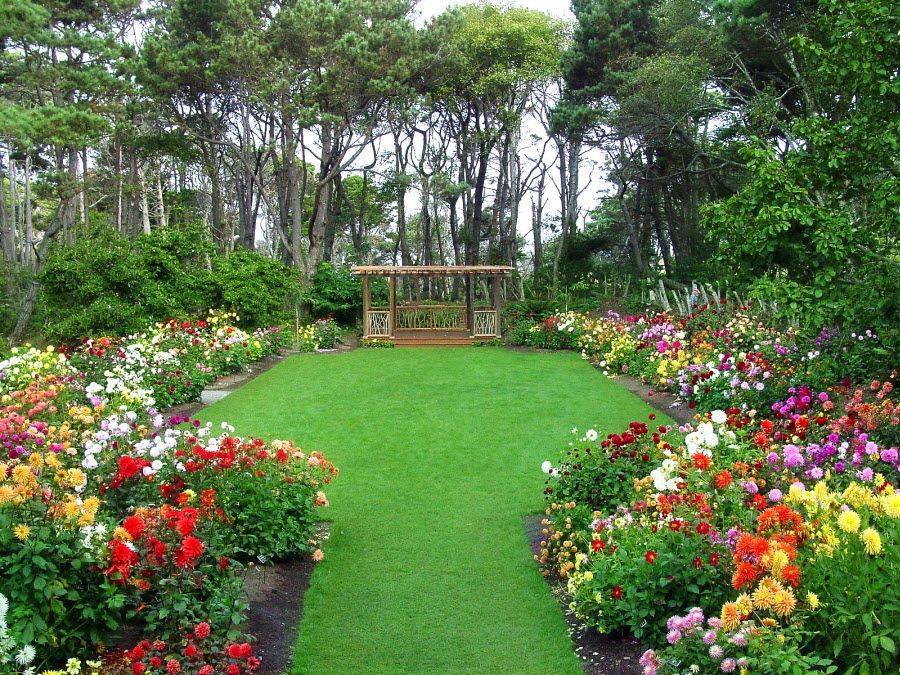 Hosta Gardens