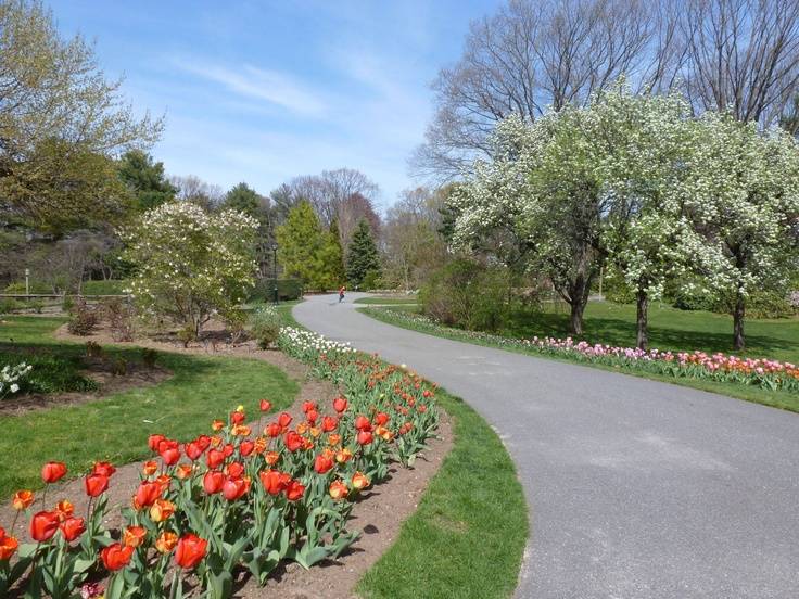 Royal Botanic Gardens Kew Places