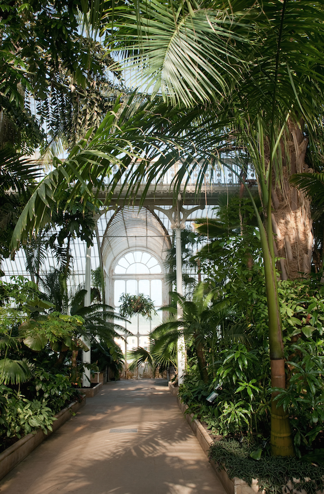 Kewgardenlondonukpalmhousedome Kew Gardens