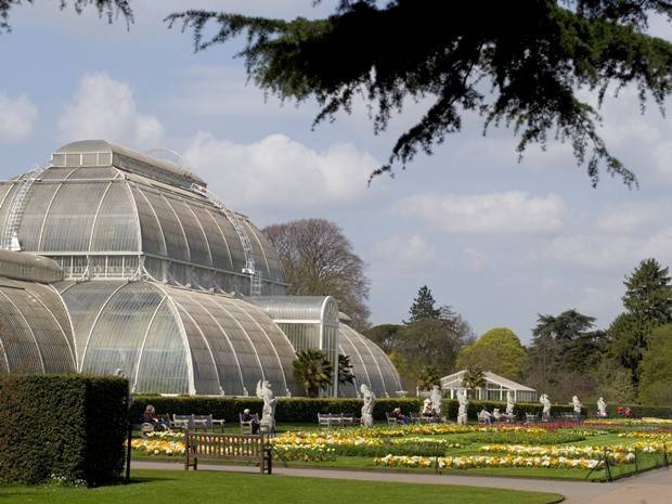 Empty Google Search Kew Gardens