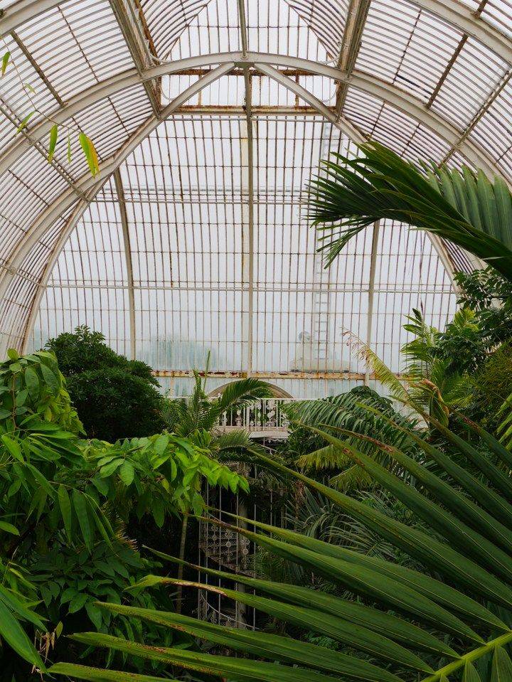 Kew Gardens Palm House Kew Gardens