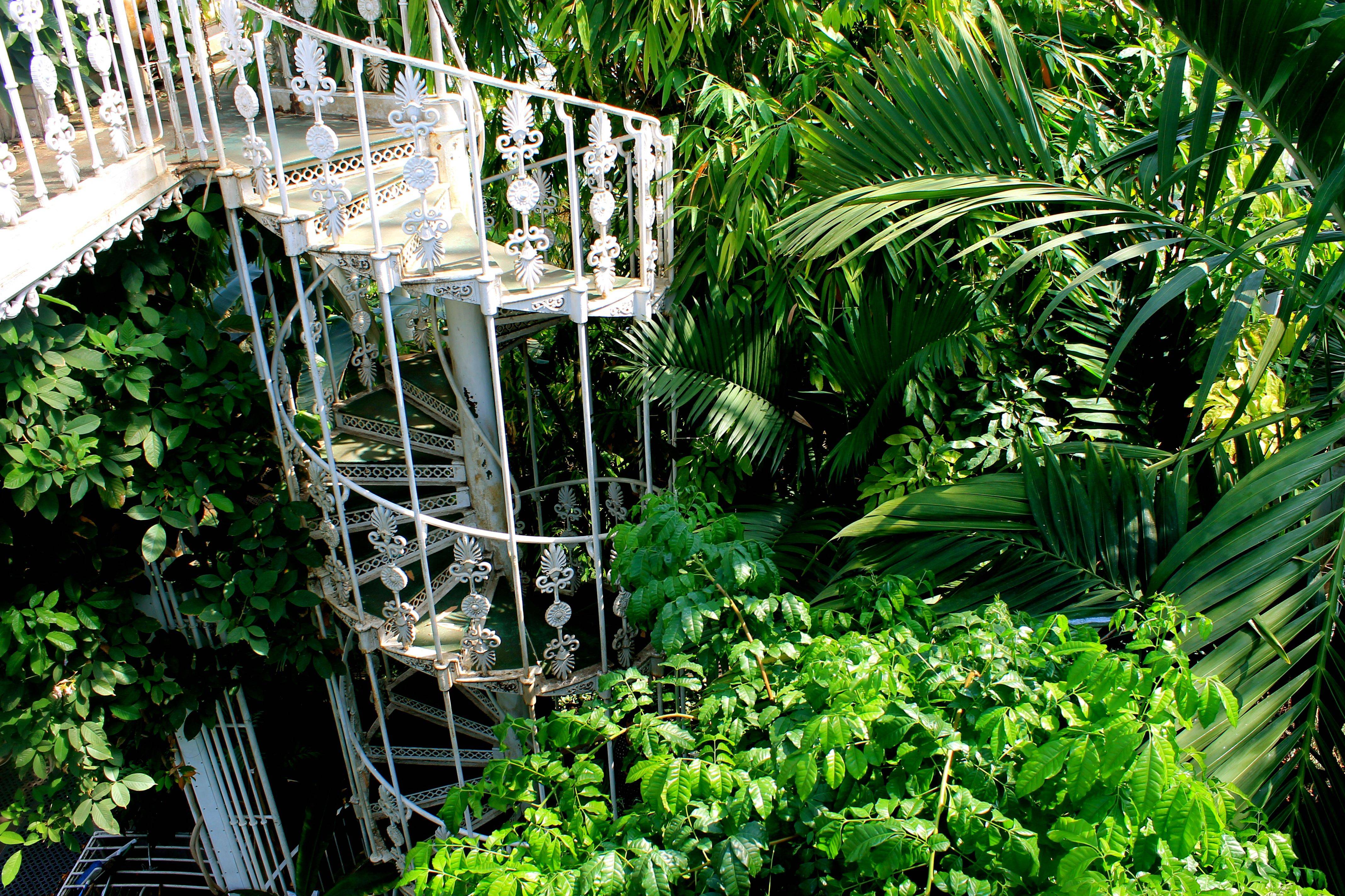 Gardens Palm House