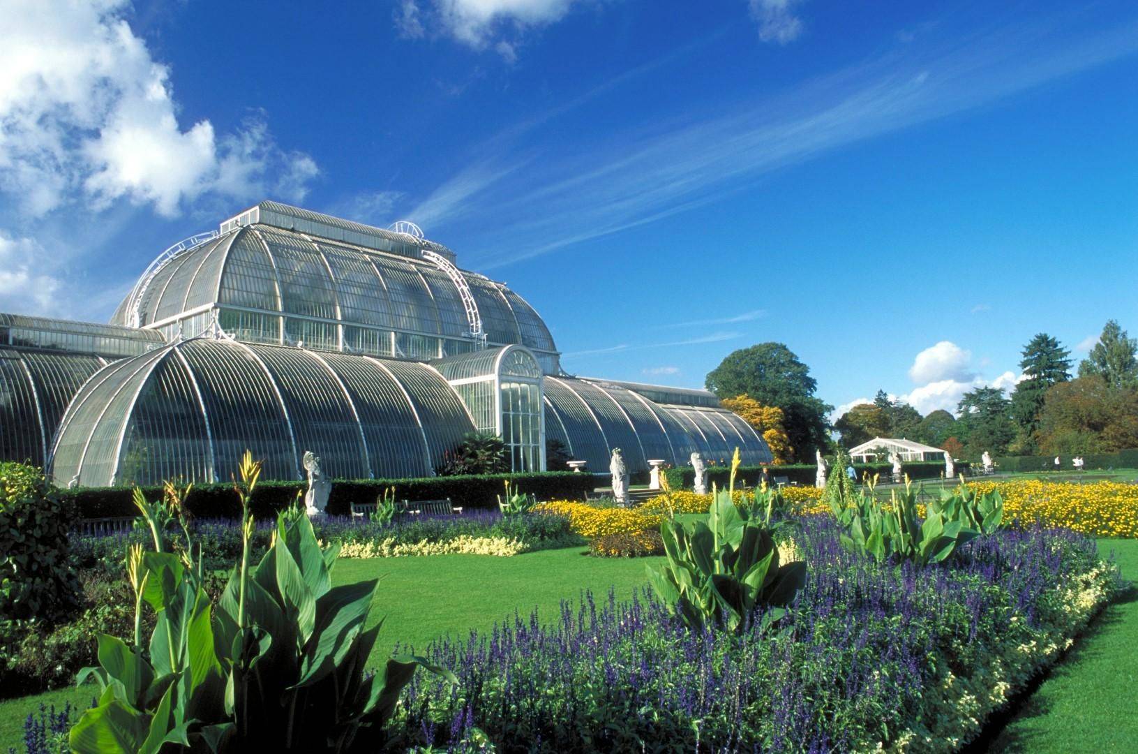 Palm House