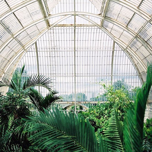 Kew Gardens Kew Gardens