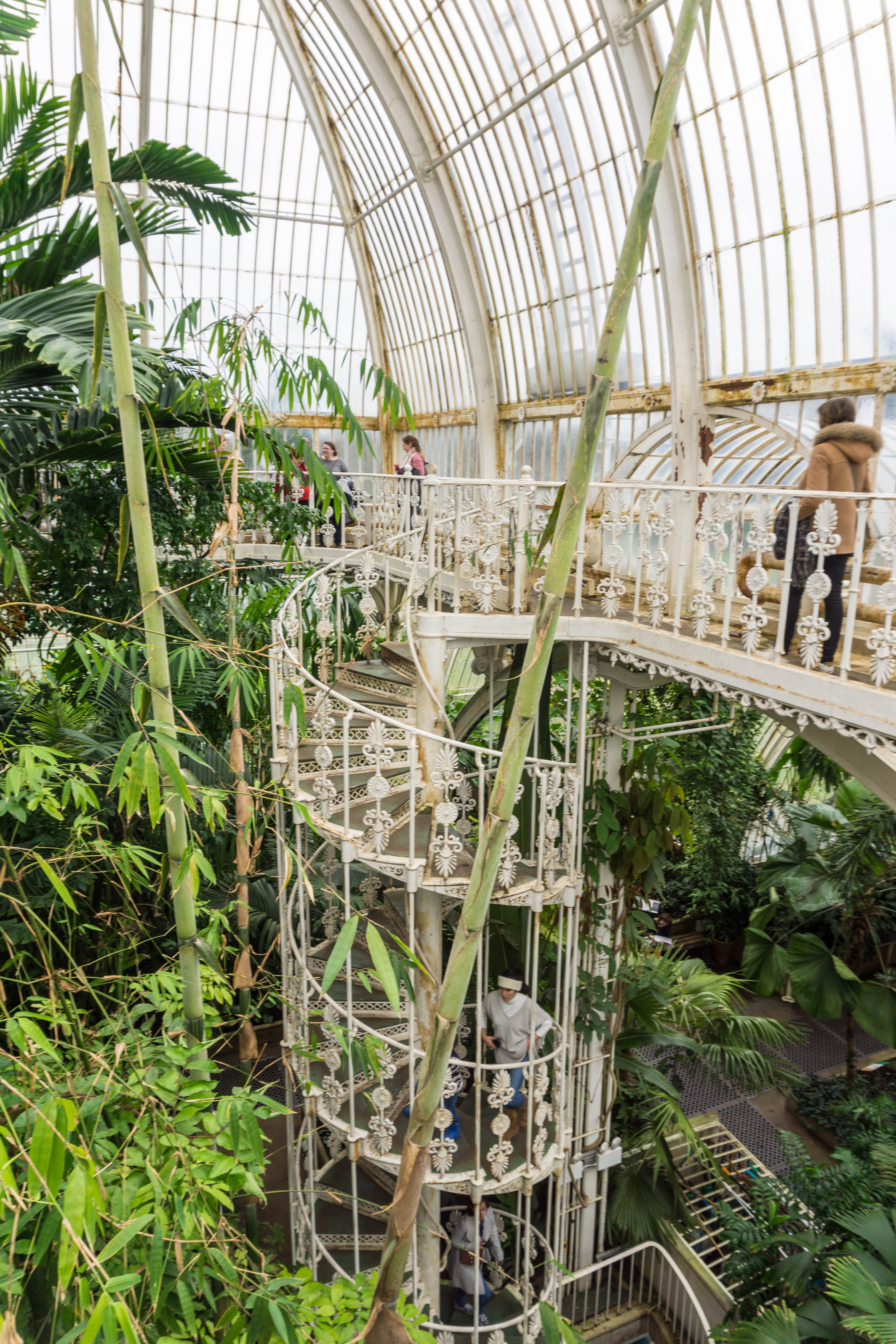 Palm House Kew Kew Gardens
