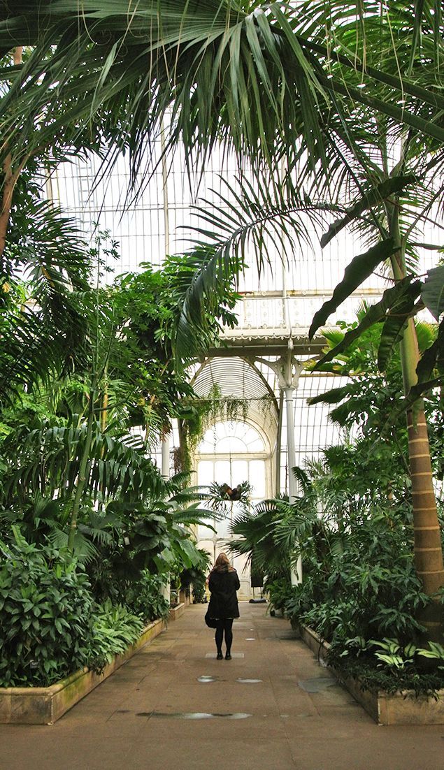Sophie Barrie Palm House Kew Gardens Kew Gardens