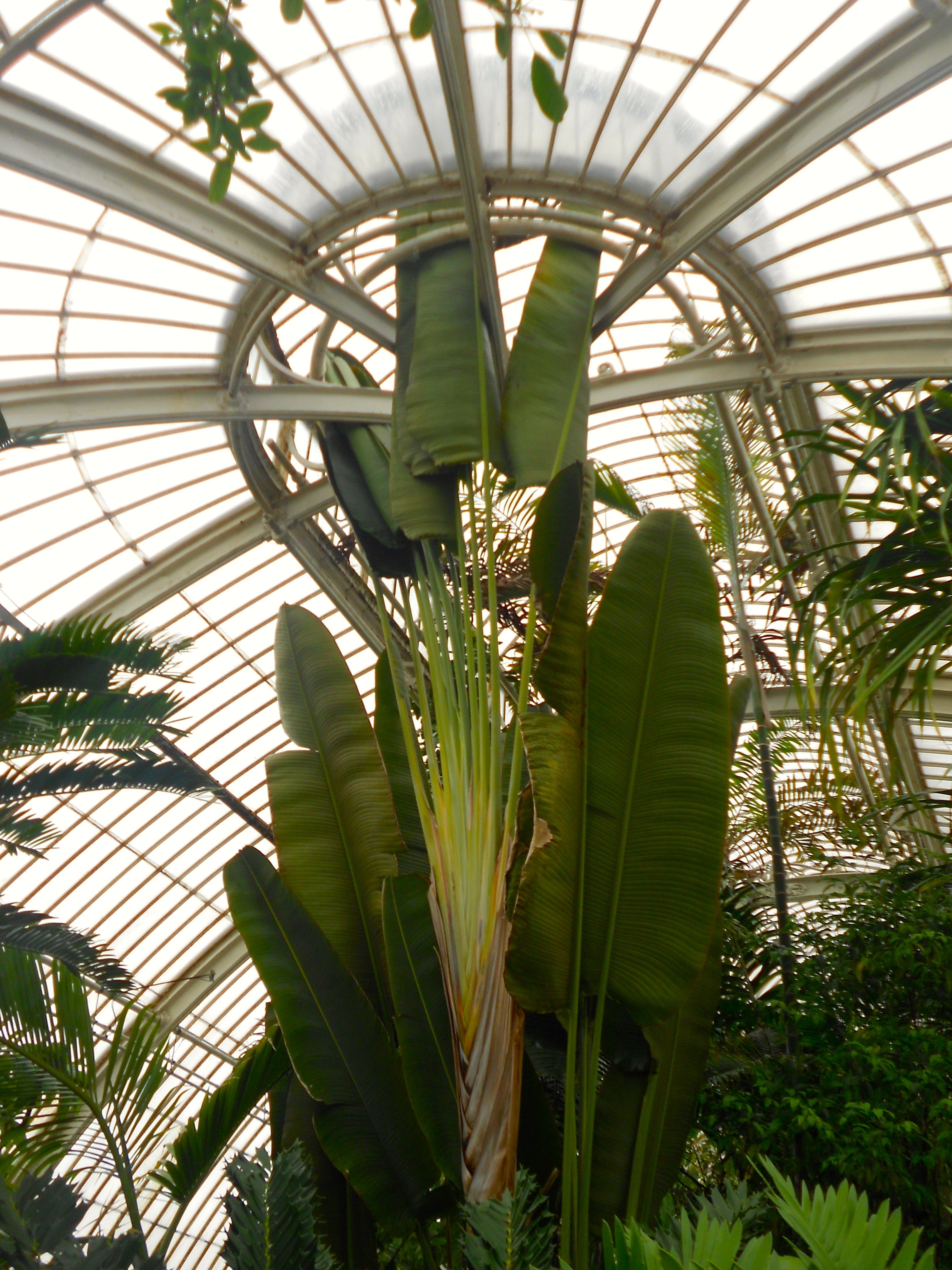 Kew Gardens Emily Underworld Kew Gardens