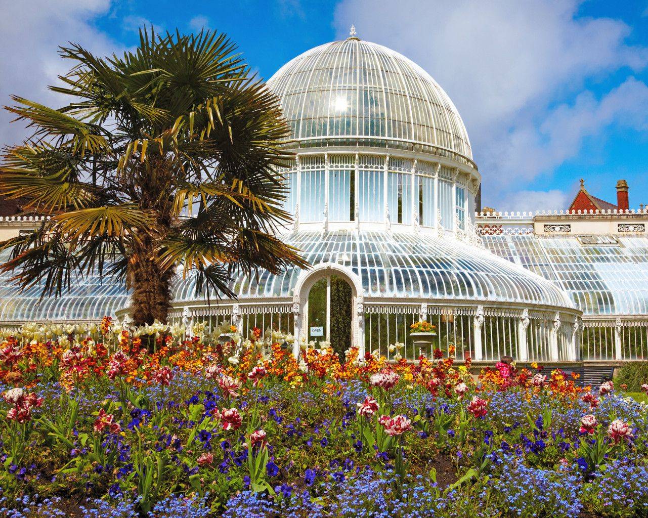 Belfast Botanic Gardens Belfast Murals