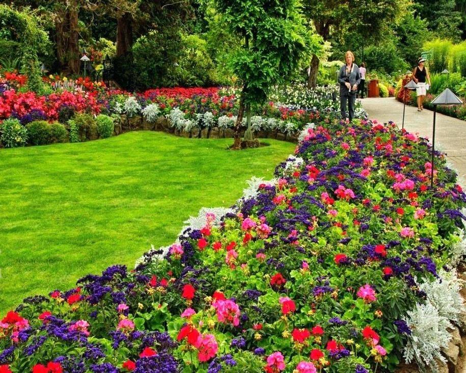 Hq Photos Basic Backyard Landscaping Gorgeous Beautiful Front