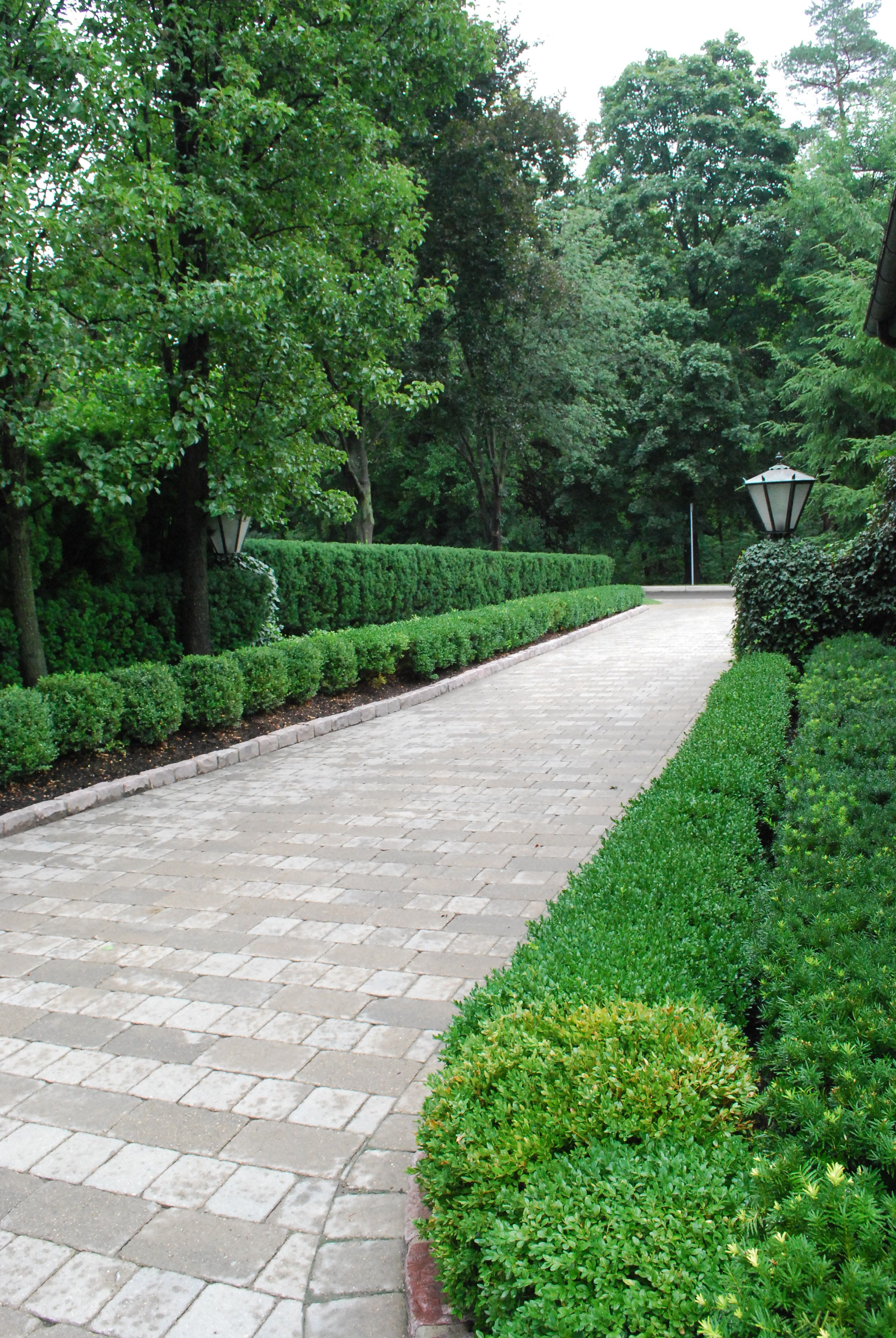 Driveway Small Yard Patio Front House Landscape Design