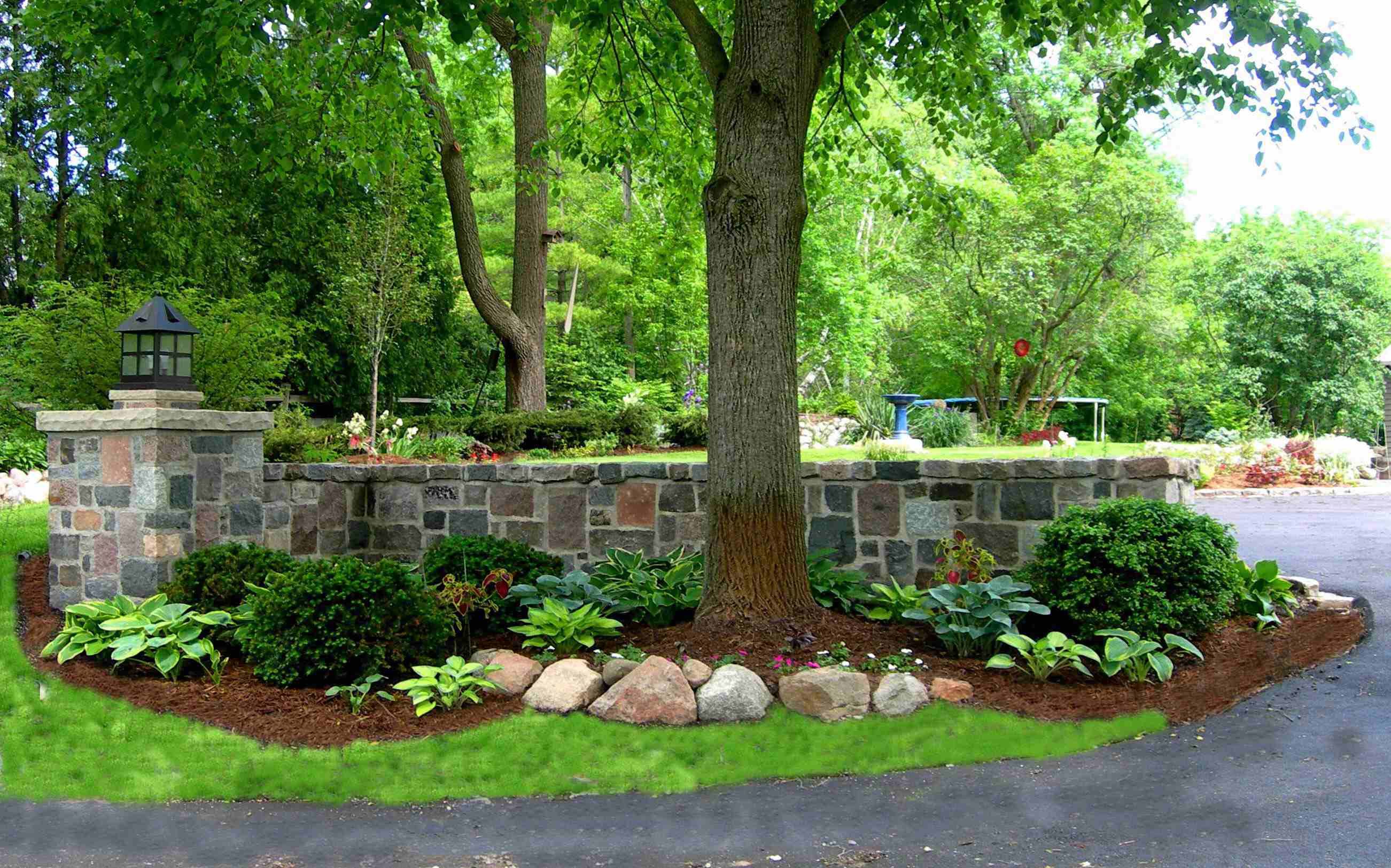 Landscaping Ideas