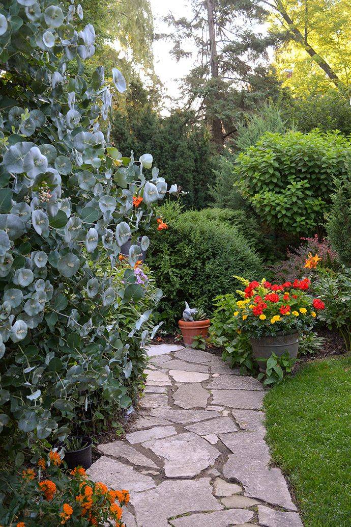 Cottage Garden
