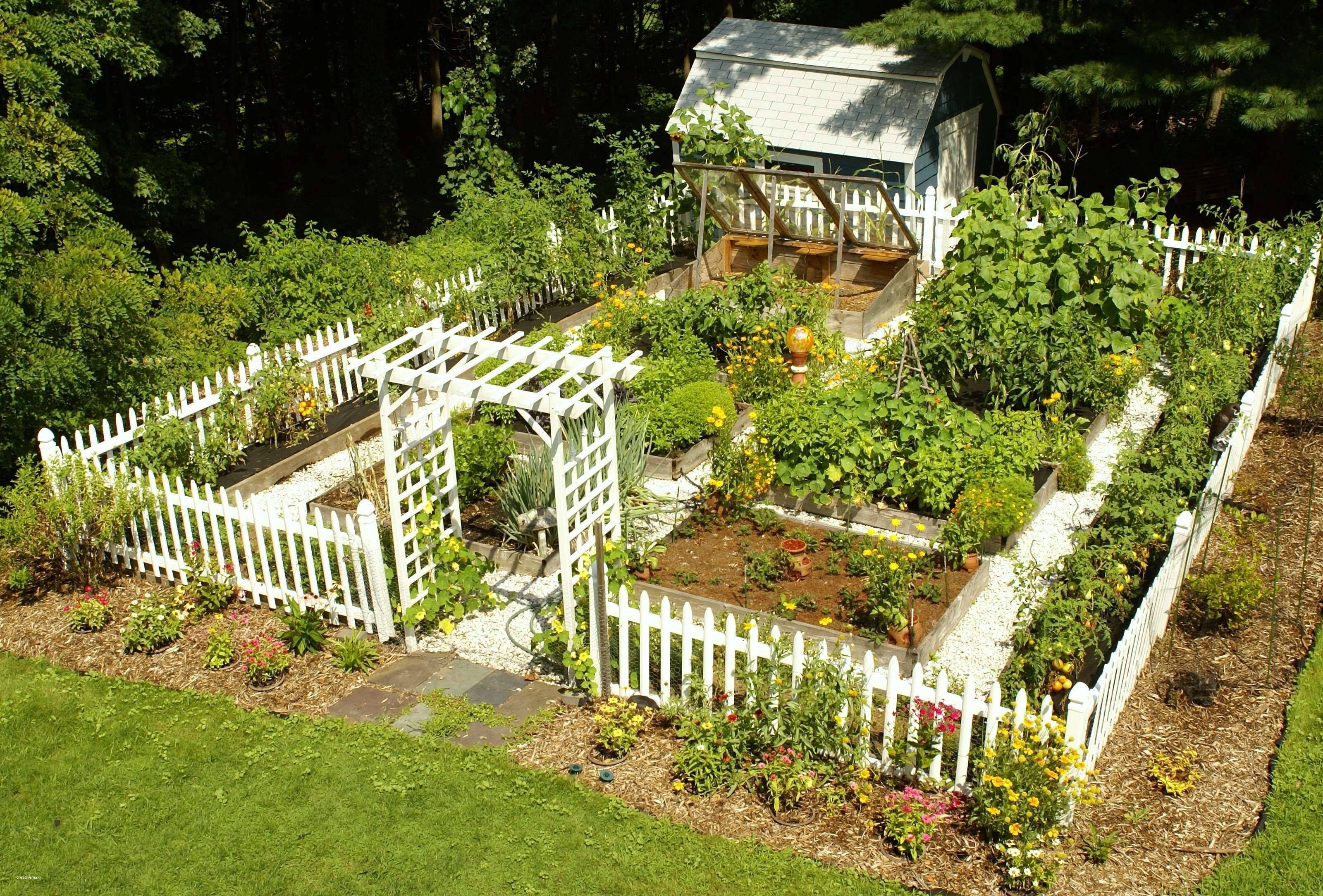 Impressive Vegetable Garden Designs