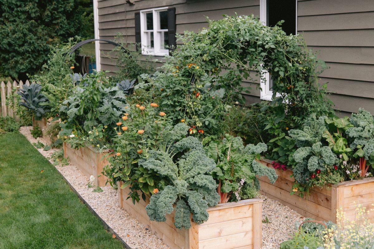 Simplevegetablegardendesignsandsimplehomevegetablegardensky