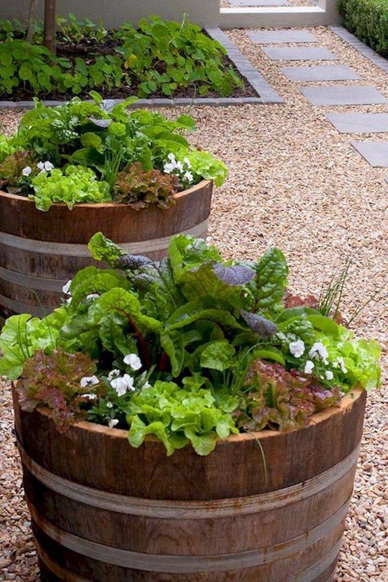 A Vegetable Garden Gardenary