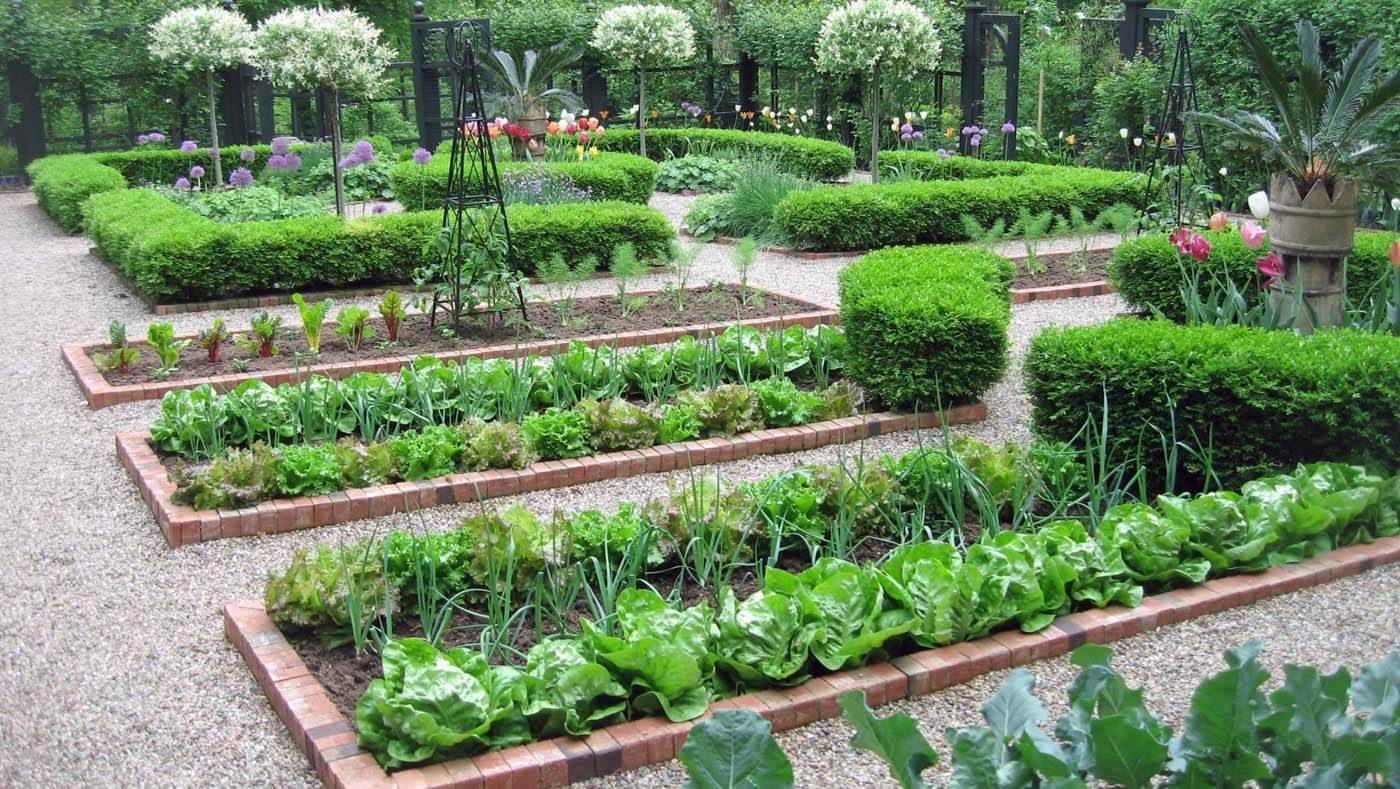 Large Vegetable Garden Layout Ideas Gardenpicdesign