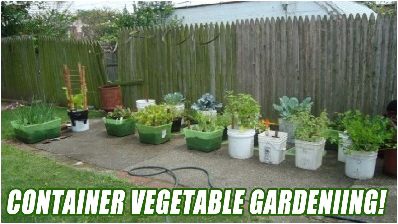 Beautiful Vegetable Container Gardens Ideas Home Inspirations