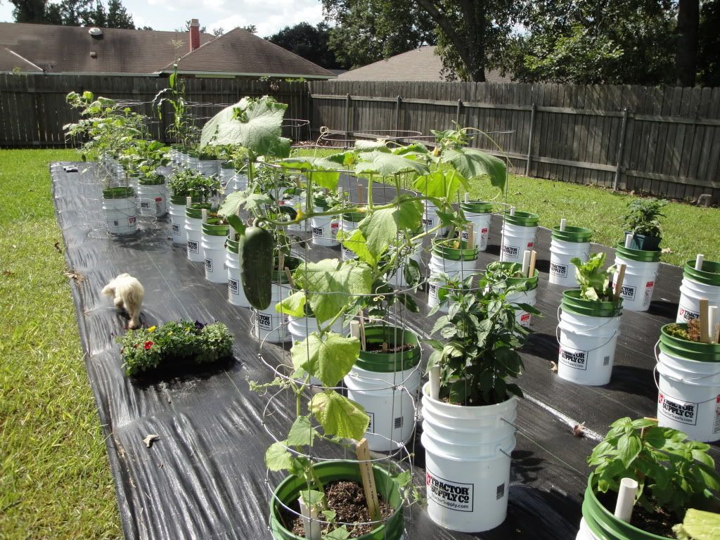 A Tiered Container Garden Southern Patio
