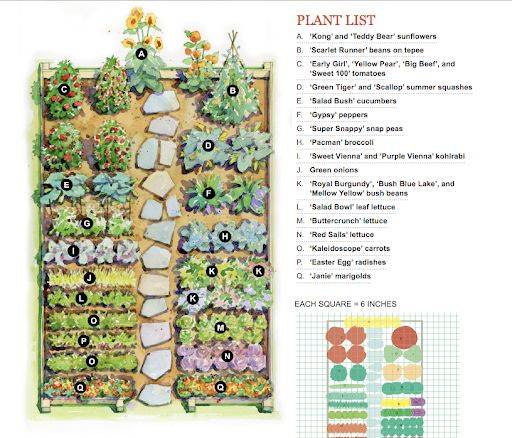 Free Vegetable Garden Layout