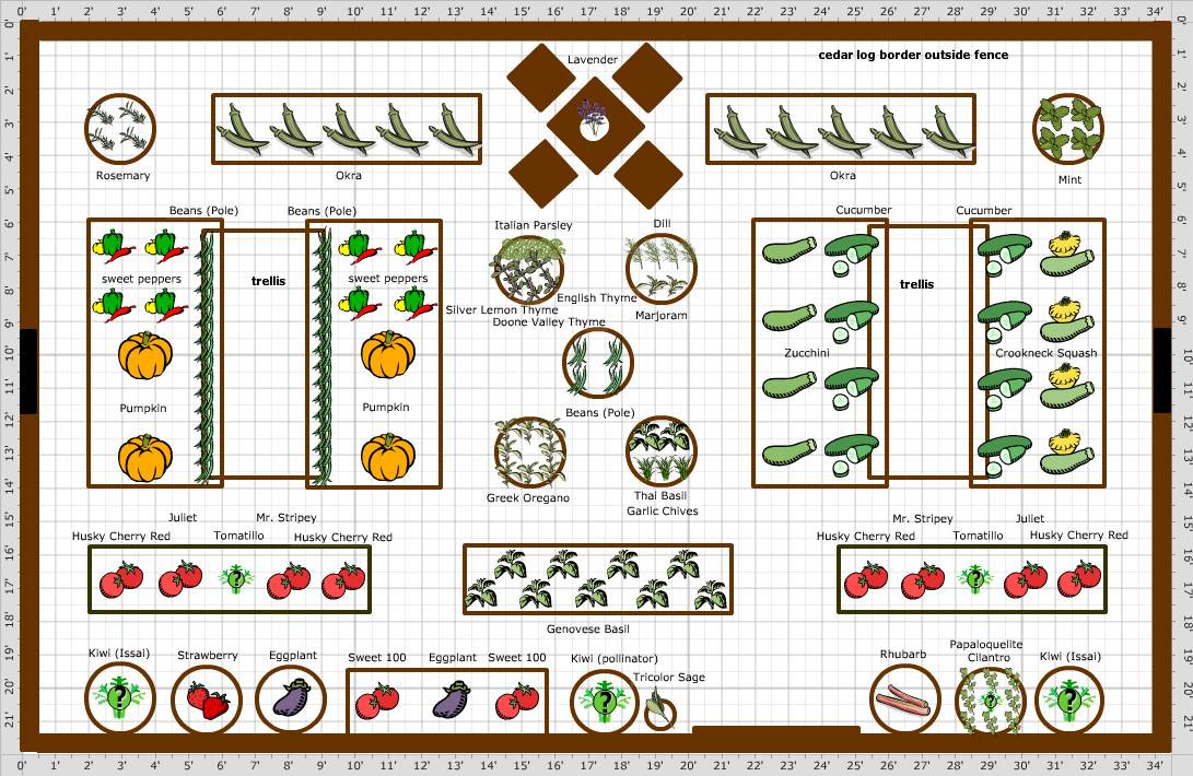 Garden Layout Vegetable