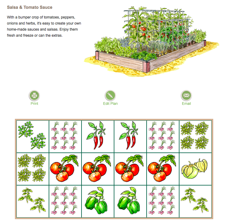 A Salsa Garden