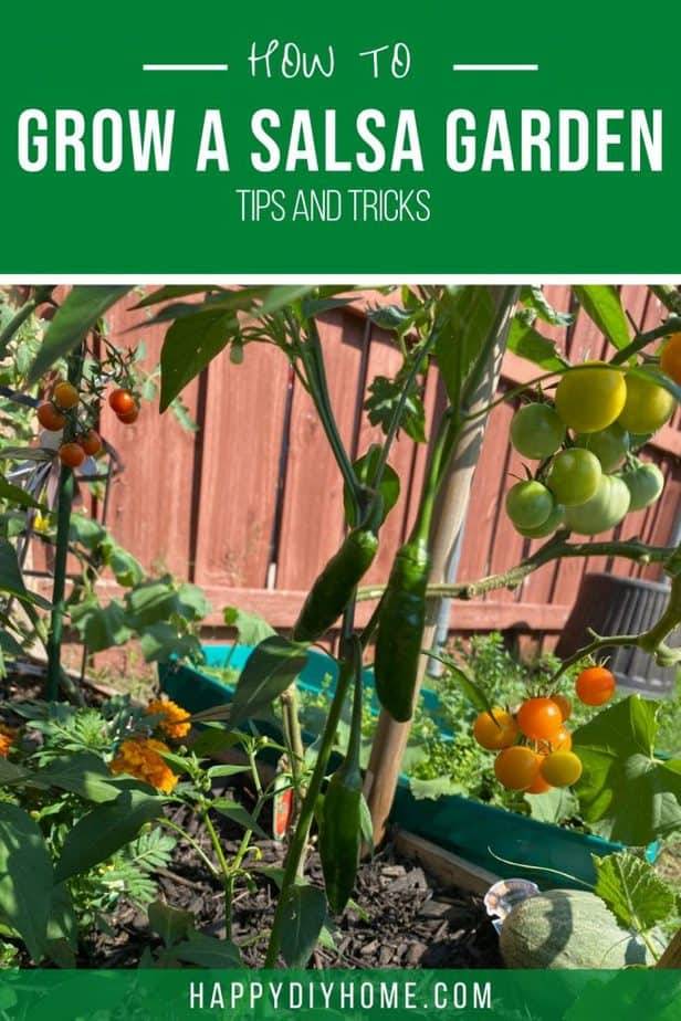 Kitchen Garden Planner Preplanned Gardens Salsa Garden