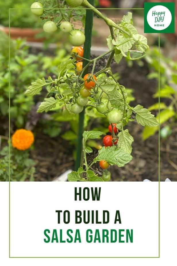Your Own Salsa Garden