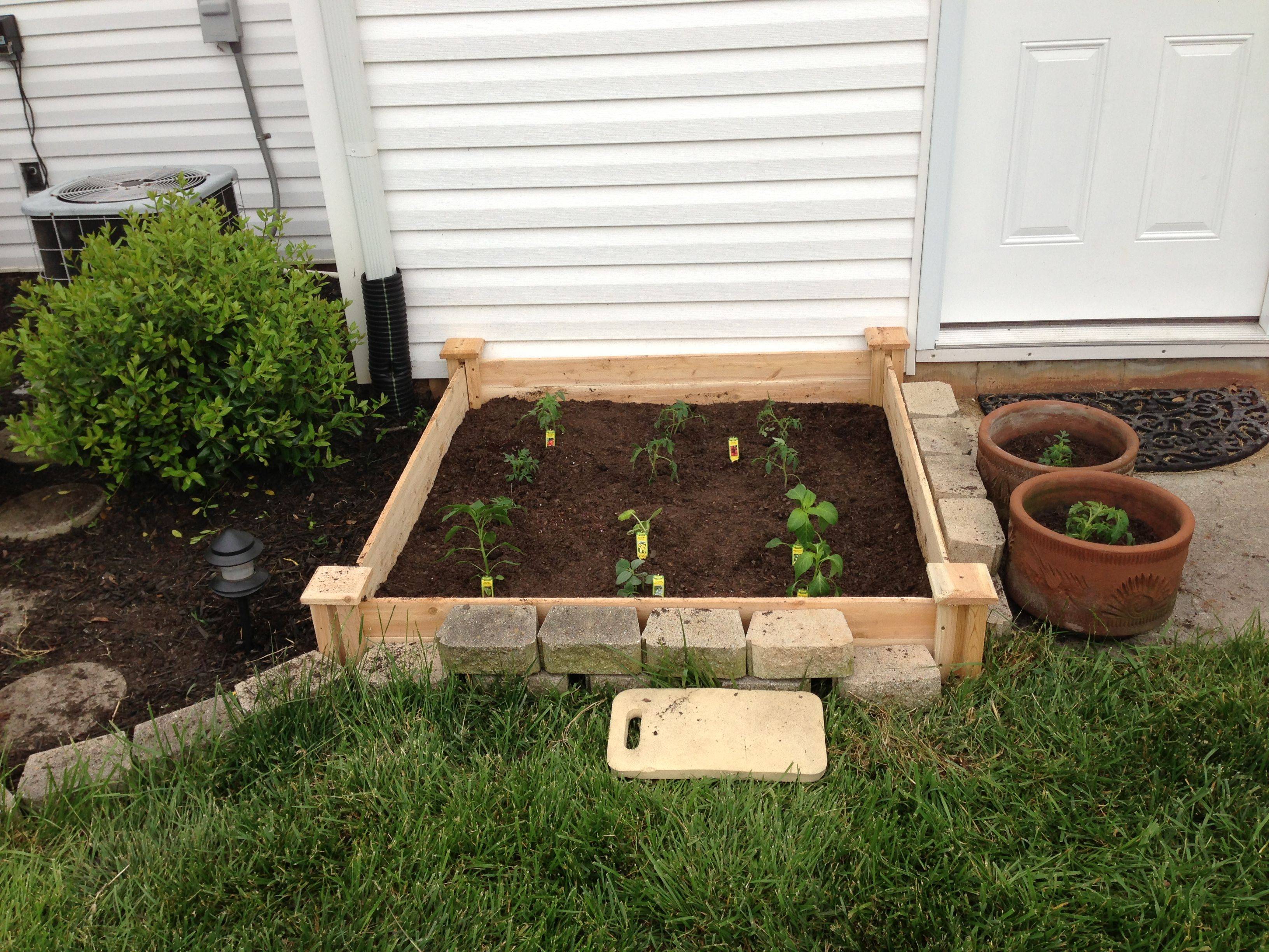 Raised Salsa Garden Layout Garden Layout