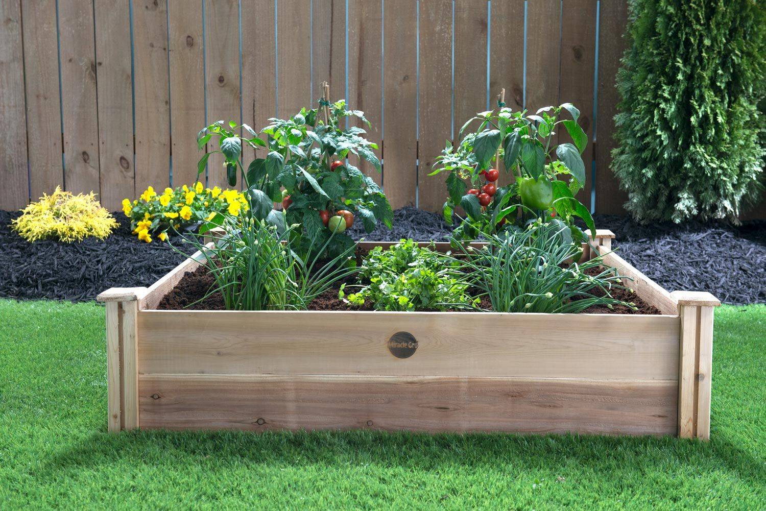 Salsa Garden