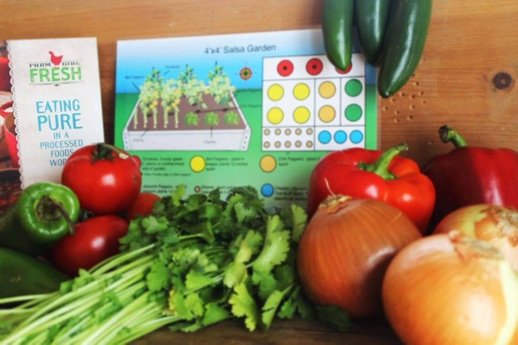 Salsagardenareas Planting Plan
