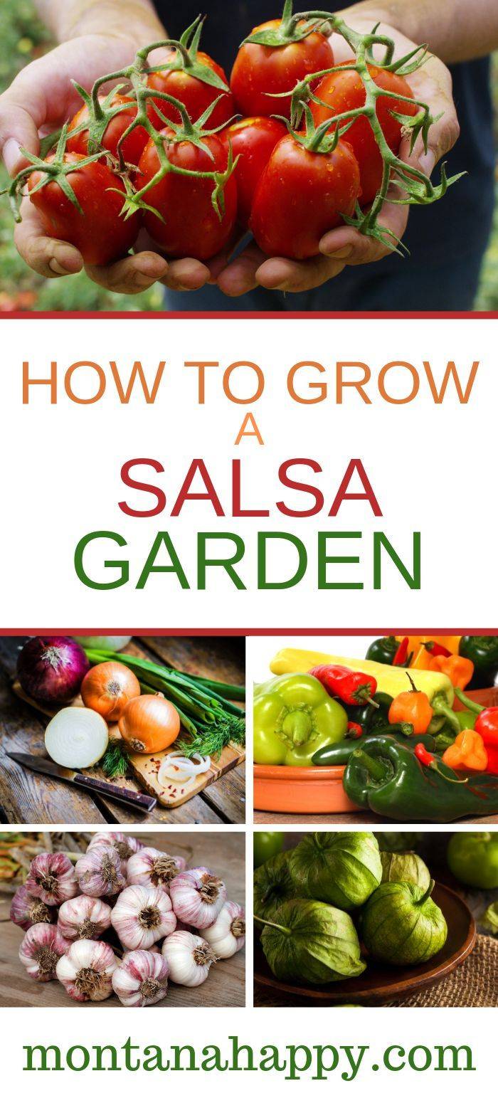 Salsa Garden Plan Farm Girl Fresh
